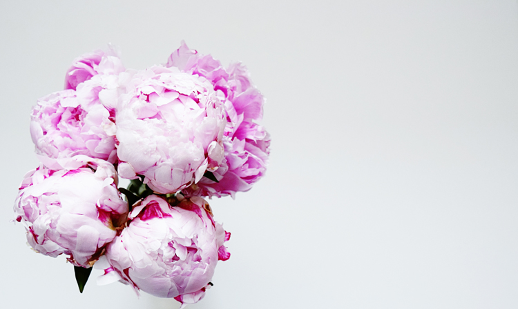 e97351a0-d309-4c7b-b83f-1fe45915f5e2